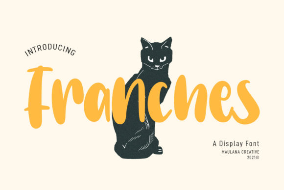 Franches: A Playful Display Font for Creative Projects