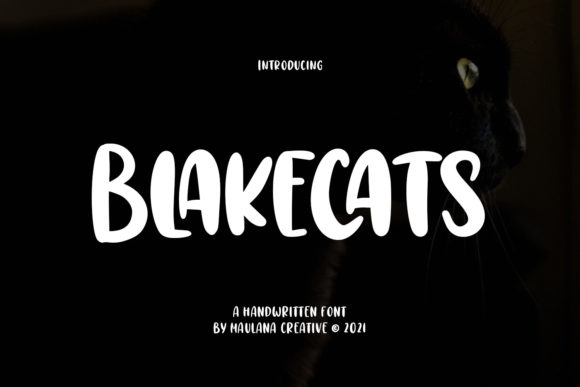 Unleash Visual Power with Blakecats